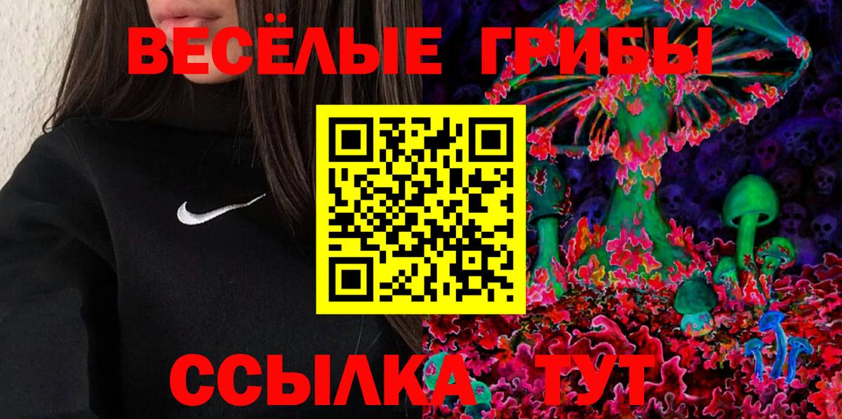 Новозыбков  Псилоцибиновые грибы Magic Shrooms  Галлюциногенные грибы прущие грибы  Вход с VPN 